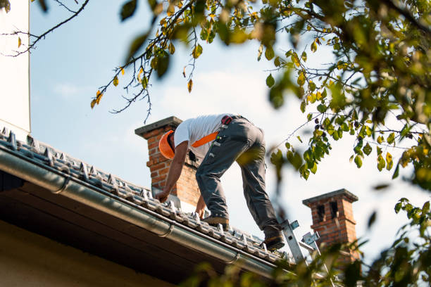 Best Commercial Roofing Services  in Channahon, IL