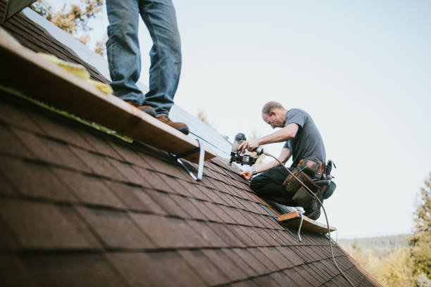 Best New Roof Installation  in Channahon, IL